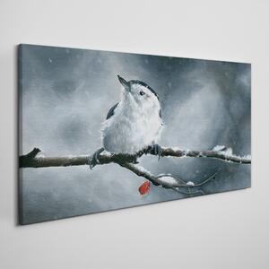 Zvířecí pták sněhová zima Zvířecí pták sněhová zima Obraz na plátně