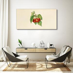 Obraz na plátně Obraz na plátně Ovocné třešně větve listy