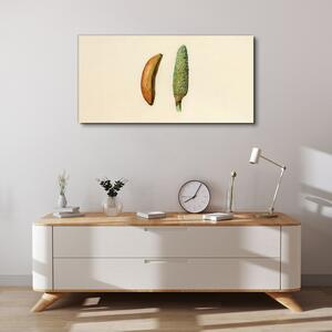 Obraz na plátně Obraz na plátně Moderní ovoce
