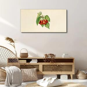 Obraz na plátně Obraz na plátně Ovocné třešně větve listy