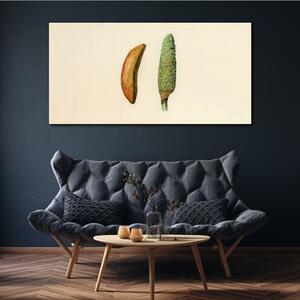Obraz na plátně Obraz na plátně Moderní ovoce