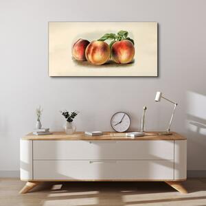 Obraz na plátně Obraz na plátně Broskvové ovocné listy
