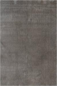 Vopi | Kusový koberec Labrador 71351-080 taupe - 80 x 150 cm