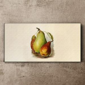Obraz na plátně Obraz na plátně Ovoce hruškové listy