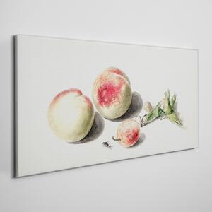 Obraz na plátně Obraz na plátně Broskvový ovoce