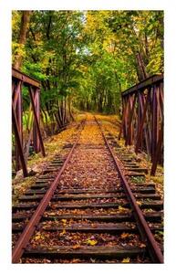 Fototapeta - Železnice v lese 375x250 + zdarma lepidlo