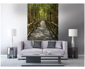 Fototapeta - Mangrovový les 375x250 + zdarma lepidlo