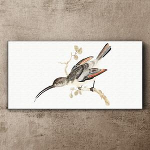 Obraz na plátně Obraz na plátně Kreslení větev zvířat pták
