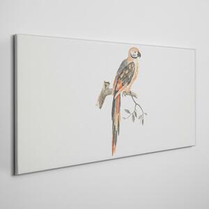 Obraz na plátně Obraz na plátně Zvířecí pták pobočka