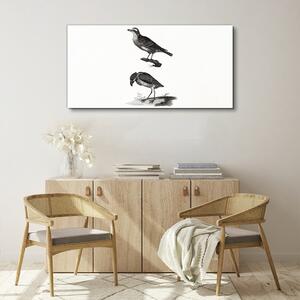 Obraz na plátně Obraz na plátně Kreslení zvířat ptáků