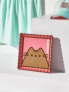 Sinsay - Talíř Pusheen - vícebarevná