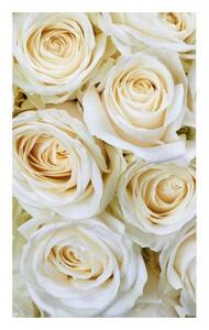 Fototapeta - Bílé růže 225x250 + zdarma lepidlo