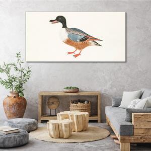 Obraz na plátně Obraz na plátně Kreslení zvířat kachna pera