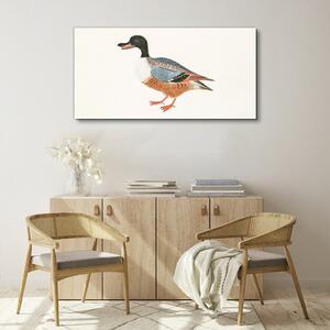 Obraz na plátně Obraz na plátně Kreslení zvířat kachna pera
