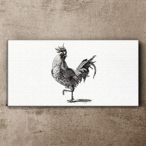 Obraz na plátně Obraz na plátně Kreslení zvířat pták kuře