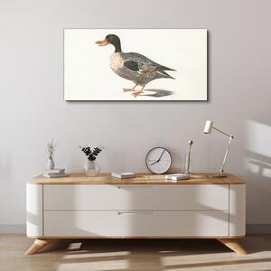 Obraz na plátně Obraz na plátně Kreslení pták kachna