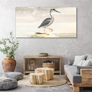 Obraz na plátně Obraz na plátně Kreslení zvířat pták nebe