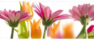 Panoramatická fototapeta - Jarní květiny + zdarma lepidlo