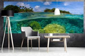 Panoramatická fototapeta - Korálový útes + zdarma lepidlo