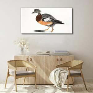Obraz na plátně Obraz na plátně Kreslení zvířat pták