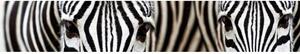 DIMEX | Fototapeta do kuchyně Zebra KI-350-016 | 350 x 60 cm | černobílá