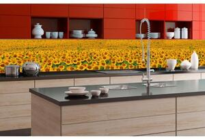 DIMEX | Fototapeta do kuchyně Lány slunečnic KI-350-030 | 350 x 60 cm | zelená, žlutá, hnědá