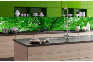 DIMEX | Fototapeta do kuchyně Koruny stromů KI-350-046 | 350 x 60 cm | zelená, hnědá