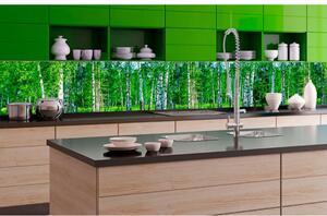 DIMEX | Fototapeta do kuchyně Březový háj KI-350-044 | 350 x 60 cm | zelená, bílá, černá