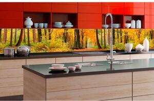DIMEX | Fototapeta do kuchyně Podzimní les KI-350-045 | 350 x 60 cm | zelená, oranžová, hnědá