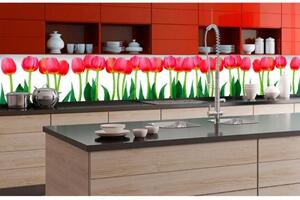 DIMEX | Fototapeta do kuchyně Tulipány KI-350-058 | 350 x 60 cm | zelená, červená