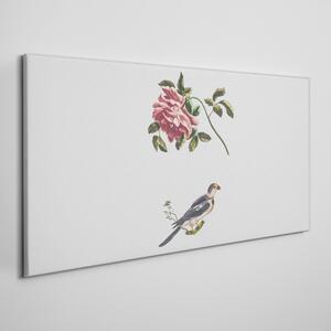 Obraz na plátně Obraz na plátně Zvířecí pták větev květina