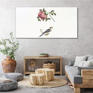 Obraz na plátně Obraz na plátně Zvířecí pták větev květina