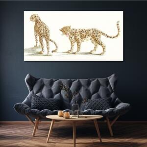 Obraz na plátně Obraz na plátně Zvířata kočky leopardi
