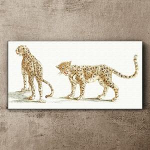 Obraz na plátně Obraz na plátně Zvířata kočky leopardi