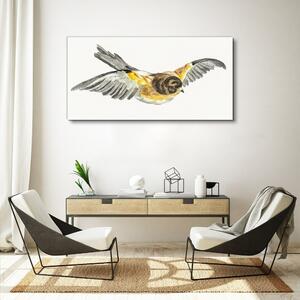 Obraz na plátně Obraz na plátně Kreslení zvířat pták