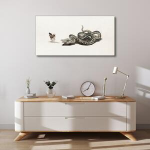 Obraz na plátně Obraz na plátně Kreslení zvířecí had motýl