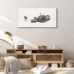 Obraz na plátně Obraz na plátně Kreslení zvířecí had motýl