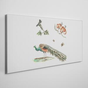 Obraz na plátně Obraz na plátně Kreslení zvířat pták květin