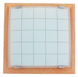 Nástěnné stropní svítidlo GEOMETRICA 1xE27/60W/230V 30x30 cm