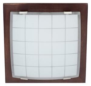 Nástěnné stropní svítidlo GEOMETRICA 1xE27/60W/230V 30x30 cm