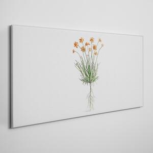 Obraz na plátně Obraz na plátně Moderní rostlinné rostliny