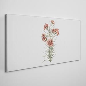 Obraz na plátně Obraz na plátně Kresba květin závod