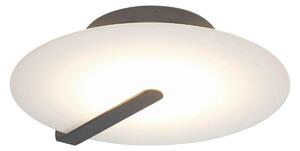 NÁSTĚNNÉ LED SVÍTIDLO, 43,2/9,2 cm Elstead Lighting - Online Only svítidla, Online Only