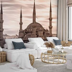 Fototapeta Blue Mosque - Istanbul