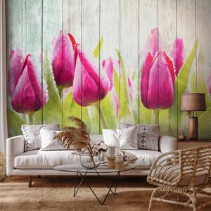 Fototapeta Tulipány na bílém dřevě