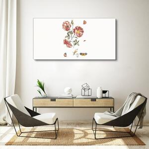 Obraz na plátně Obraz na plátně Květiny motýlské rostliny