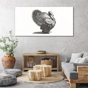Obraz na plátně Obraz na plátně Obrázek zvířecí pták Turecko