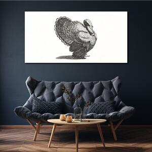 Obraz na plátně Obraz na plátně Obrázek zvířecí pták Turecko