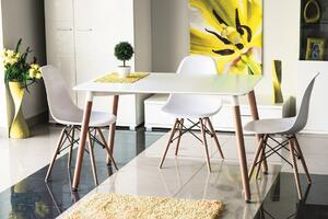 Jídelní stůl NOLAN 120x80 cm, bílý, nohy buk