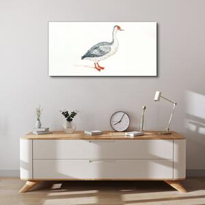 Obraz na plátně Obraz na plátně Zvířecí pták husa